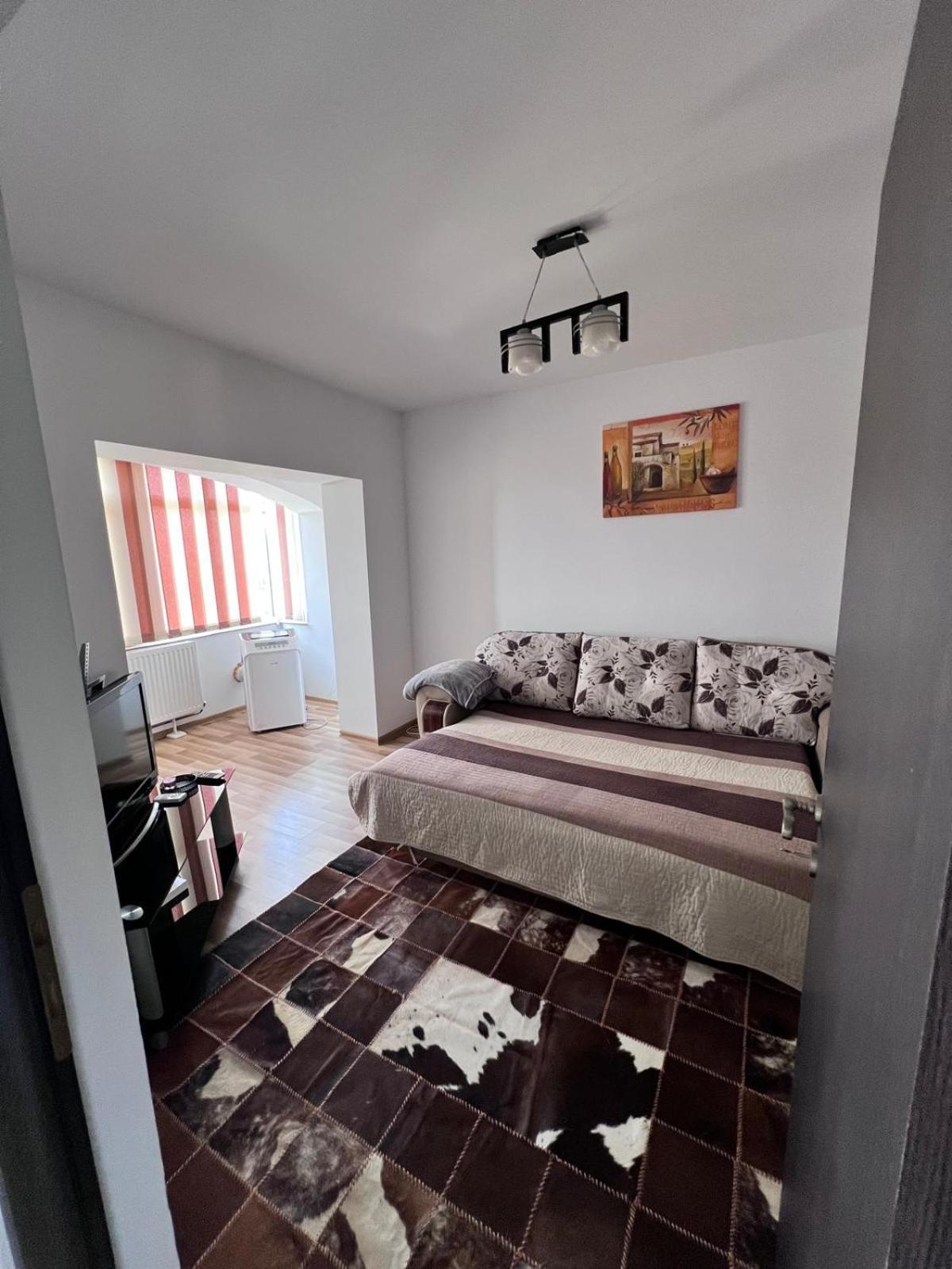 Chindia Apartament 트르고비슈테 외부 사진